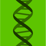 Genotype logo